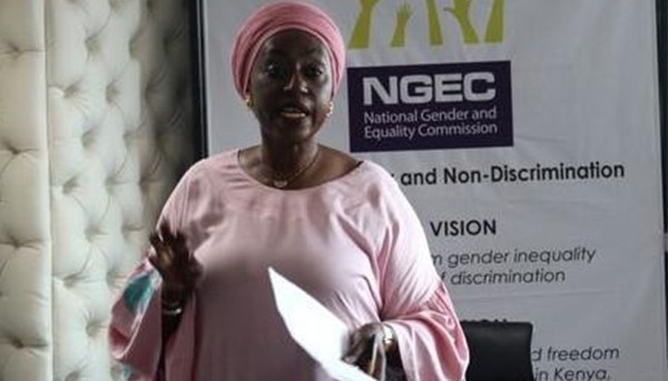 NGEC Welcomes Gambian Delegation for Pioneering Study Visit on Gender Equality and Inclusion