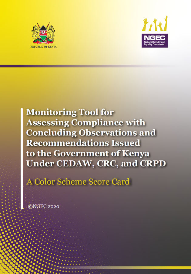 Developed Mechanisms for Monitoring International Treaties and Conventions 